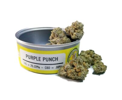 Buy_Space-Monkey-Meds_Purple_Punch