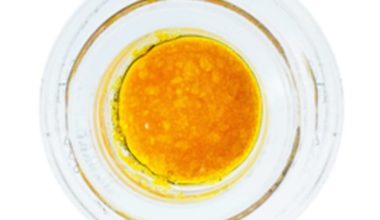 Buy Lemon Candy OG Sauce Weedtimely