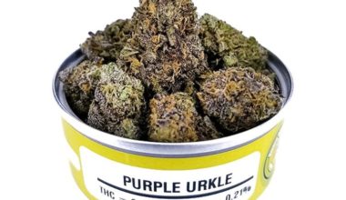 Purple Urkle Space Monkey for sale!