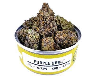 Purple Urkle Space Monkey for sale!