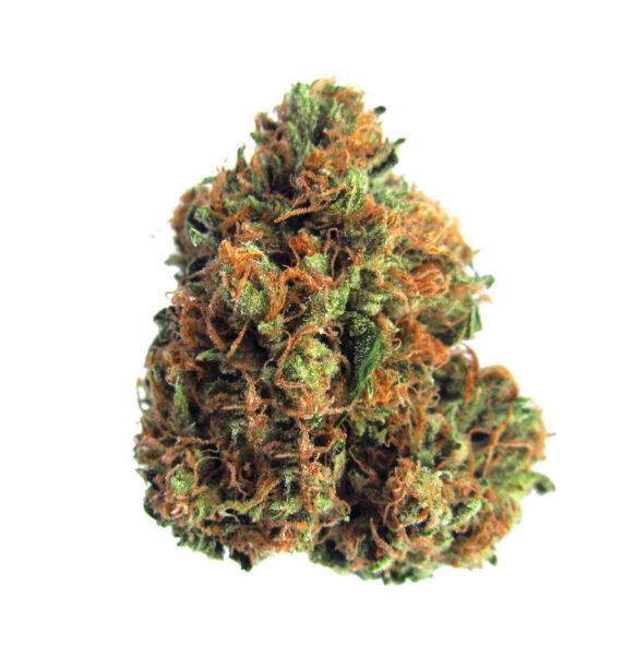 God's gift Strain for sale online