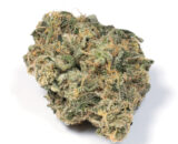 Durban-Poison available for sale on Weedtimely