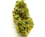 Buy Durban Poison online for sale online
