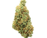 Durban-Poison For sale