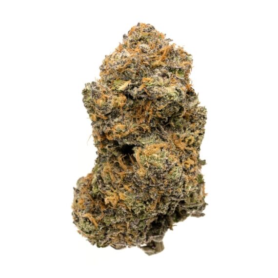 God's Gift a pound