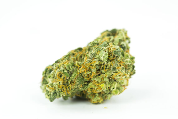 Gorilla Glue for sale