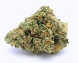 Buy marijuana strain Og Kush Weedtimely