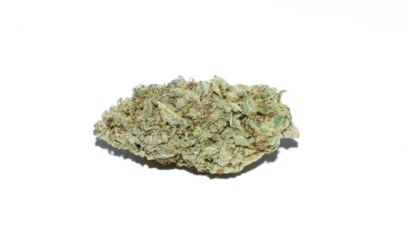 buy white widow strains online