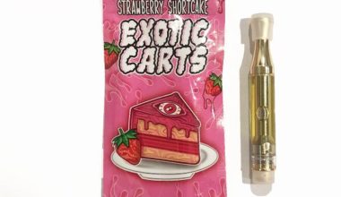 exotic-strawberry-shortcake for sale