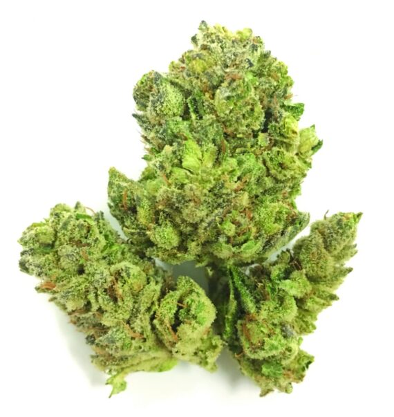 Gorilla Glue Buy on Weedtimely