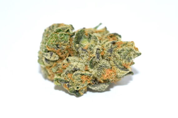 girl-scout-cookies-strain for sale on Weedtimely