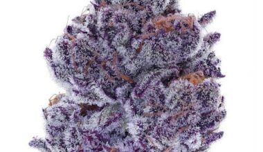 Granddaddy Purple a pound
