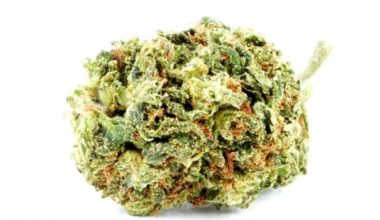 Sour Diesel - a qp