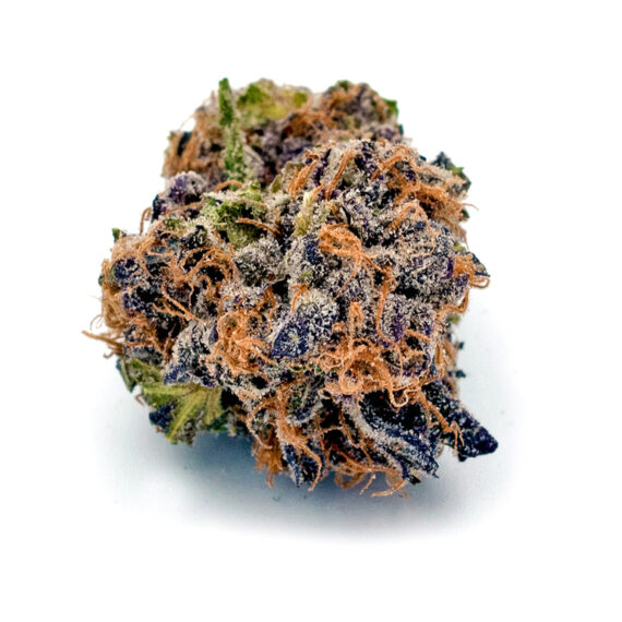 Buy Marijuana online Buy Runtz weed Strains Weedtimely