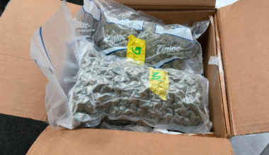 2 lbs of Cannabis Buds for Sale