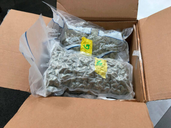 2 lbs of Cannabis Buds for Sale