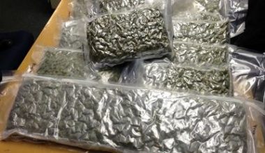 Buy 10 Pounds Of Marijuana