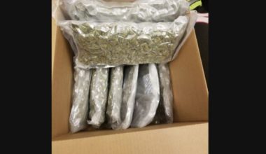5 Pound or Marijuana for Sale