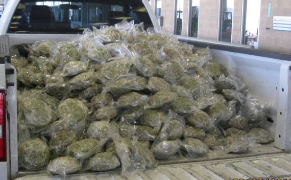 250 pounds of topshelf