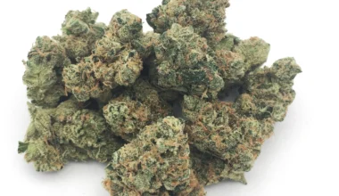100 Pounds of topshelf