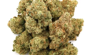 2 pounds of Exotic Weed