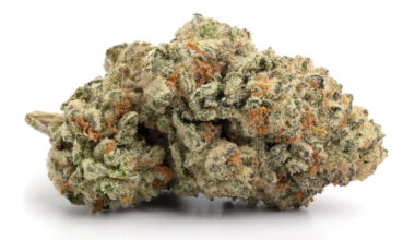 1 lb Golden Pineapple - Exotic