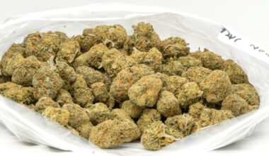 25 pounds of topshelf weed