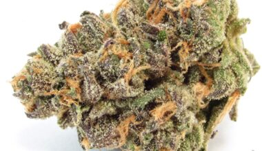 1 lb Apples and Bananas - Exotic