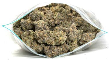 10 Pounds of exotics weed