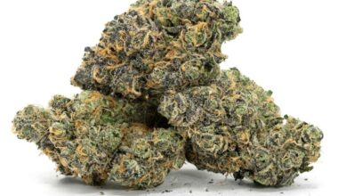 5 pounds of exotic strains