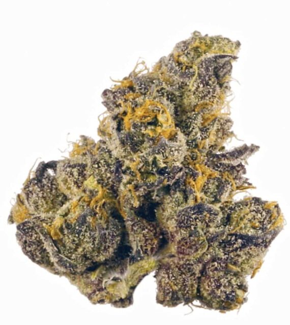 1lb Snoop Dogg OG - Exotic