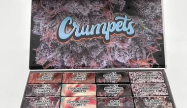 Crumpet Disposible Vape Pen Cartridges