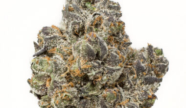 1 lb of Apple Fritter - Exotic